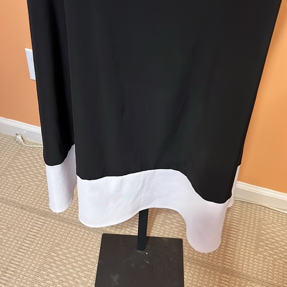 Darby black and white dress with detail zippers size 6 - Picture 5 of 8